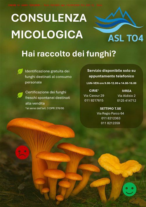 Consulenza gratuita per la popolazione in merito al riconoscimento dei funghi epigei freschi e certificazione dei funghi epigei freschi per la vendita al dettaglio.